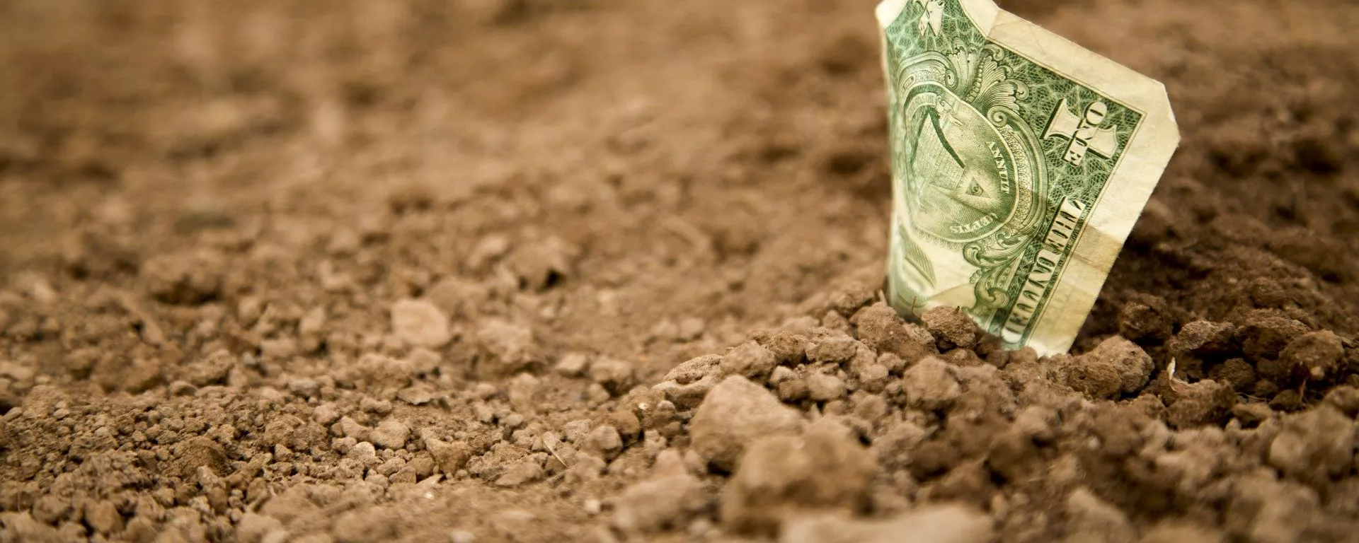 Nem mesmo novo governo dos EUA interromperá processo de desdolarização no mundo, dizem especialistas