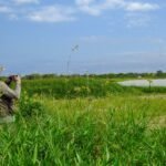 Pesquisador da Amazônia, brasileiro conquista Nobel do meio ambiente